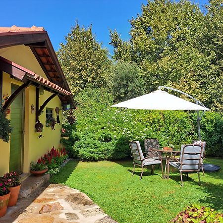 סלוריקו דה באשטו Quinta De Carcavelos Agroturismo E Enoturismo מראה חיצוני תמונה
