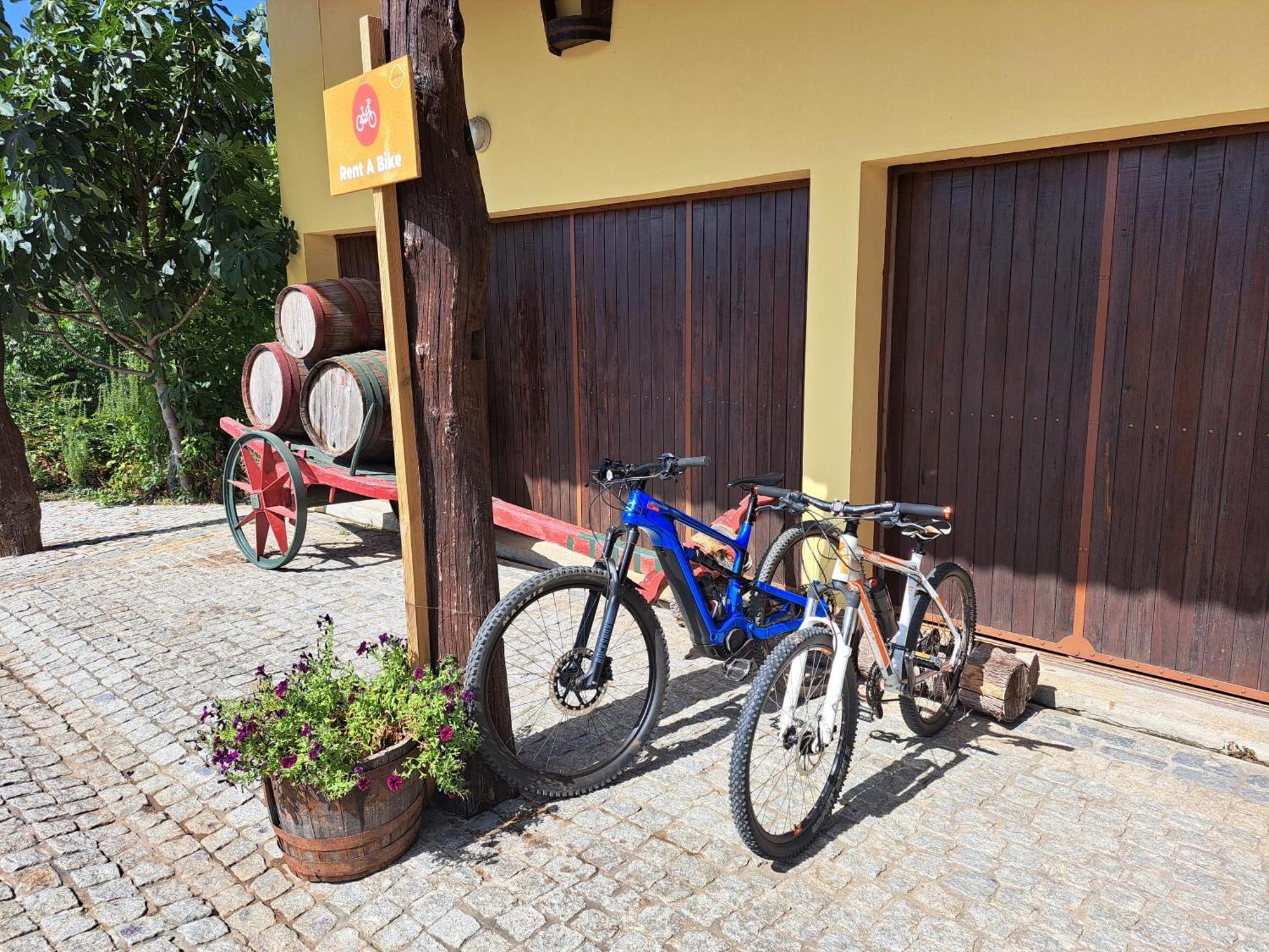סלוריקו דה באשטו Quinta De Carcavelos Agroturismo E Enoturismo מראה חיצוני תמונה